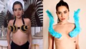 आइस-क्रीम कोन से लेकर फेदर विंग तक: उर्फी जावेद के इन अंतरंगी ब्लाउज डिजाइन ने फैंस को किया मोहित, देखें तस्वीरें