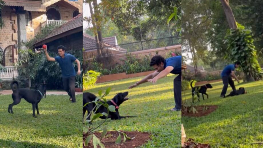 अपने प्यारे पालतू कुत्तों के साथ मस्ती करते दिखें मास्टर ब्लास्टर सचिन तेंदुलकर, देखें वीडियो