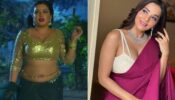 आम्रपाली दुबे से मोनालिसा तक: एक फिल्म के लिए बेहद मोटी रकम चार्ज करती हैं भोजपुरी की ये अदाकाराएं