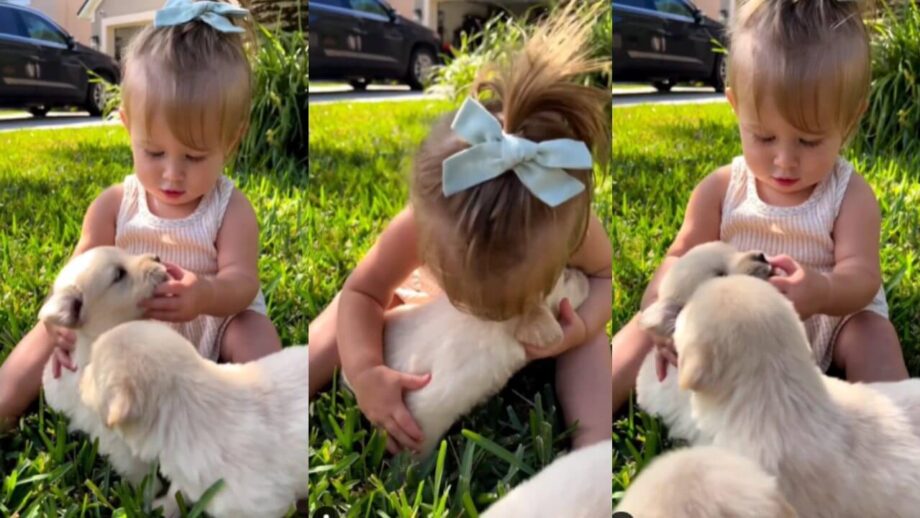 एक बच्ची और कुत्ते का खेलते हुए वीडियो हुआ वायरल