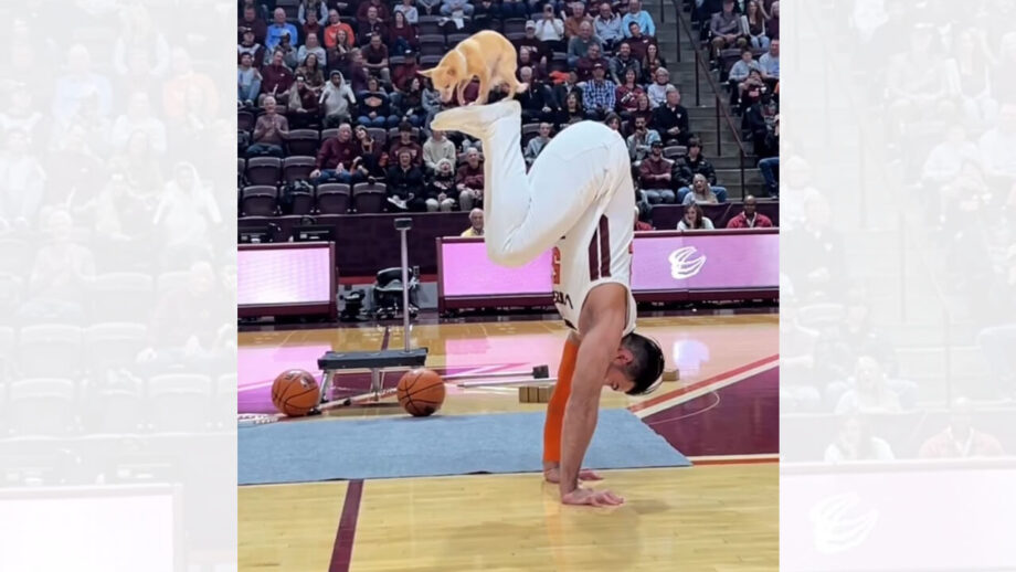 कुत्ते और शख्स के तालमेल ने इंटरनेट पर मचाया धमाल, देखें वायरल वीडियो कुत्ते और शख्स के तालमेल ने इंटरनेट पर मचाया धमाल, देखें वायरल वीडियो