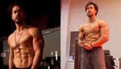 टाइगर श्रॉफ ने जिम में बहाया पसीना, फैंस को मिले इंस्पिरेशन