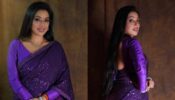 पर्पल ग्लिटरी साड़ी में सभी को मदहोश कर रही है अनुपमा फेम रूपाली गांगुली, देखें तस्वीरें