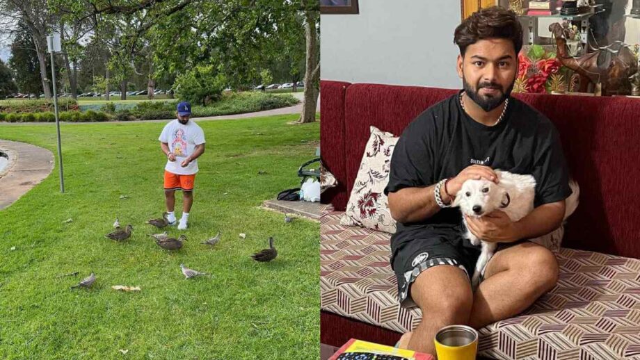 पशुओं से बेहद लगाव रखते हैं ऋषभ पंत, जाने पुरी हकीकत