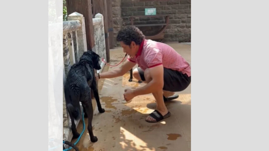 बच्चे की तरह अपने पालतू कुत्ते ‘स्पाइक’  को प्यार करते हैं मास्टर ब्लास्टर सचिन तेंदुलकर, देखें सबूत