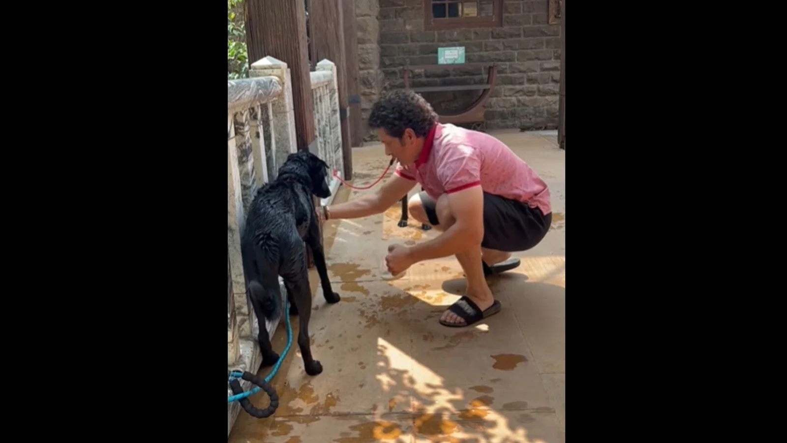 बच्चे की तरह अपने पालतू कुत्ते 'स्पाइक'  को प्यार करते हैं मास्टर ब्लास्टर सचिन तेंदुलकर, देखें सबूत 1458