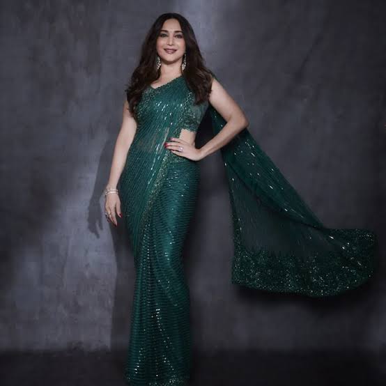 From Madhuri Dixit to Katrina Kaif; See the stunning look of these actresses in sheer saree 3380