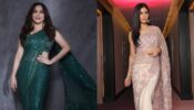 माधुरी दीक्षित से लेकर कैटरीना कैफ तक; शीर साड़ी में देखिए इन अभिनेत्रियों के स्टनिंग लुक