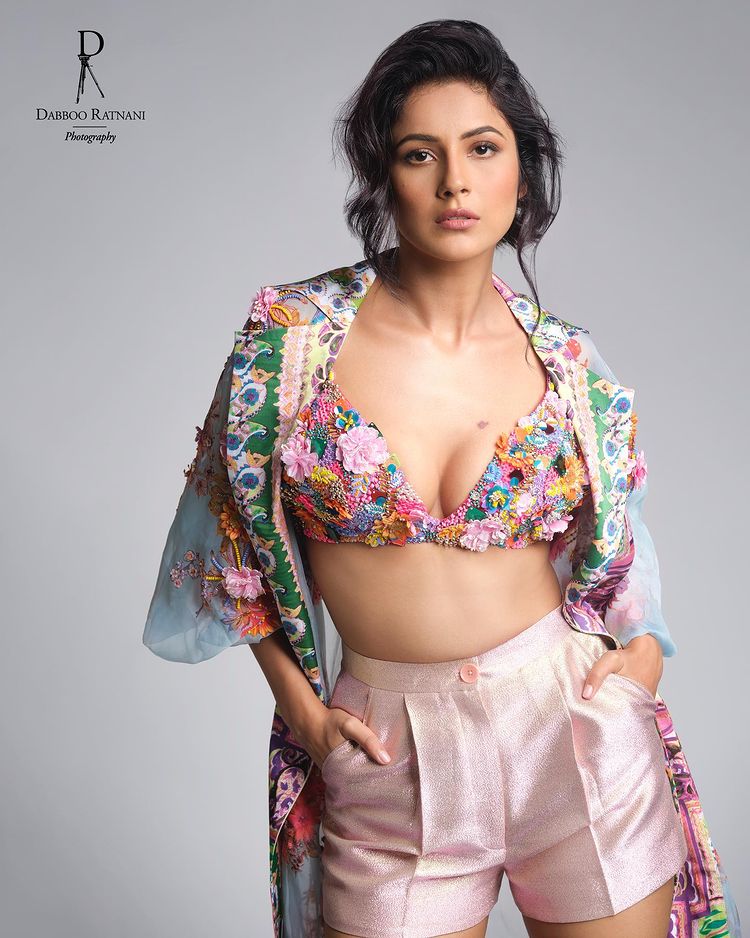 Shehnaaz Gill sizzles on the internet, fans go berserk 2738