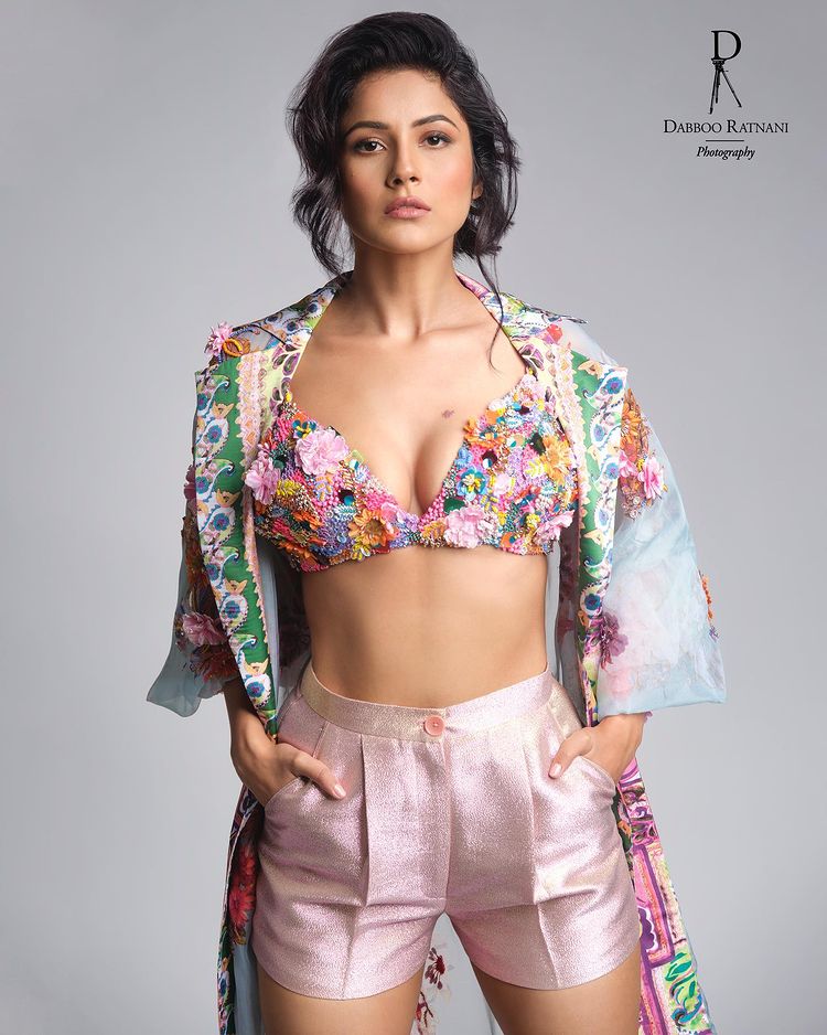 Shehnaaz Gill sizzles on the internet, fans go berserk 2740