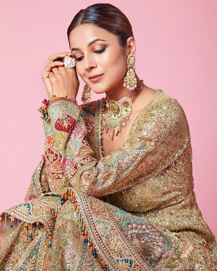 Shehnaaz Gill sizzles on the internet, fans go berserk 2743