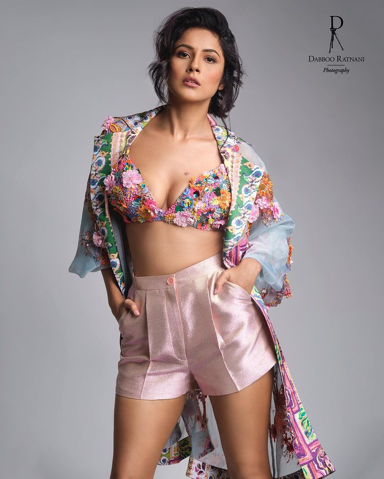 Shehnaaz Gill sizzles on the internet, fans go berserk 2737