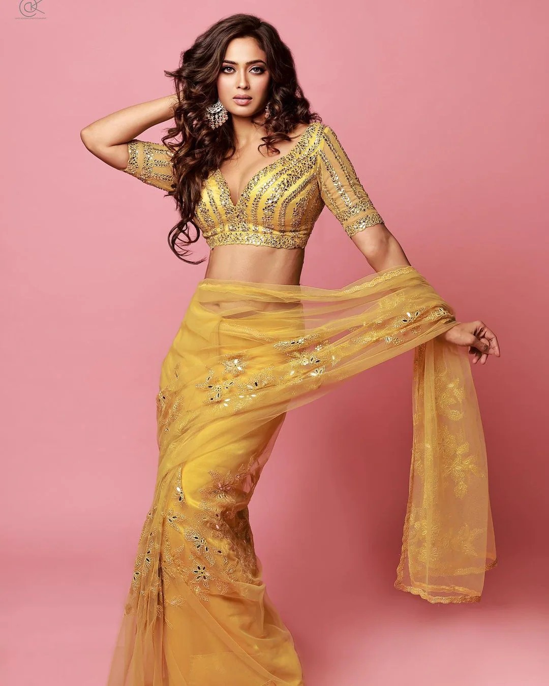 Shweta Tiwari shared her stunning picture in saree 2930