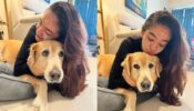 बालवीर फेम अनुष्का सेन ने मनाया अपने पालतू कुत्ते का साथ होली