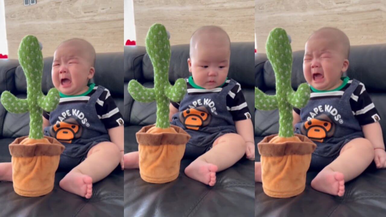 बच्चे के क्यूटनेस ने पिघलाया नेटिज़न्स का दिल, देखें मनमोहक वायरल वीडियो