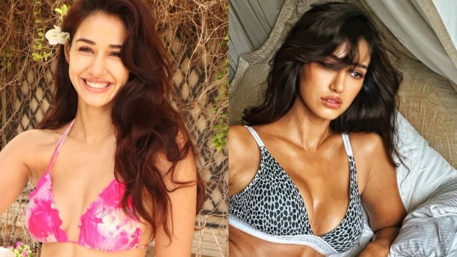 समुद्र किनारे दिशा पाटनी ने बढ़ाई गर्मी, हॉट बिकनी लुक से किया सभी को घायल