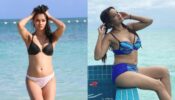 देखिए भोजपुरी अभिनेत्री और उनके बिकिनी लुक