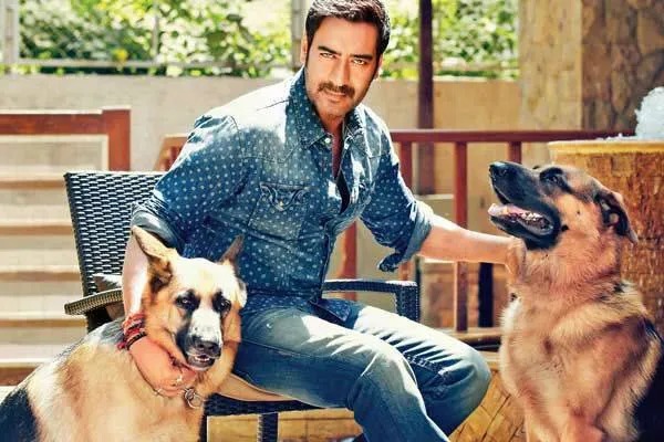 From Varun Dhawan to John Abraham: These Bollywood stars are die-hard animal lovers, see proof 5640