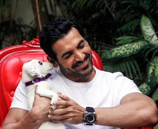 From Varun Dhawan to John Abraham: These Bollywood stars are die-hard animal lovers, see proof 5639