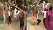 पेड़ से लटकते हुए लड़कों की मजेदार वीडियो हुई वायरल