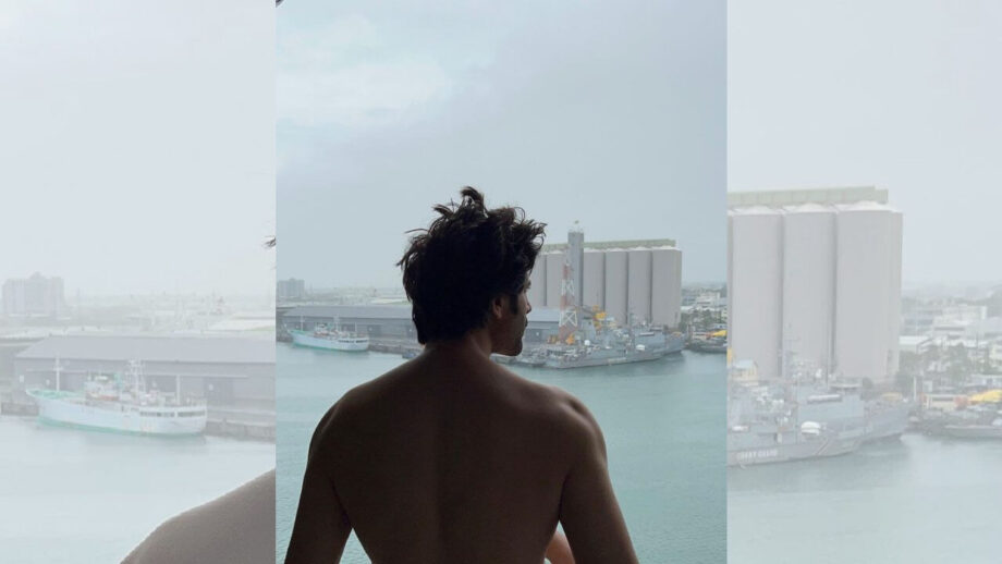 कार्तिक आर्यन की लुभावनी तस्वीर ने लाखों दिलों पर किया कब्जा, देखें सबूत