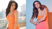 कैटरीना कैफ या अनन्या पांडे: ऑरेंज बोडिकॉन ड्रेस में किसने उड़ाए फैंस के होश?