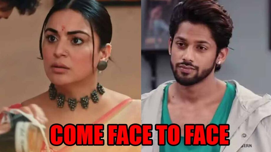 कुंडली भाग्य: प्रीता और शौर्य का हुआ आमना सामना