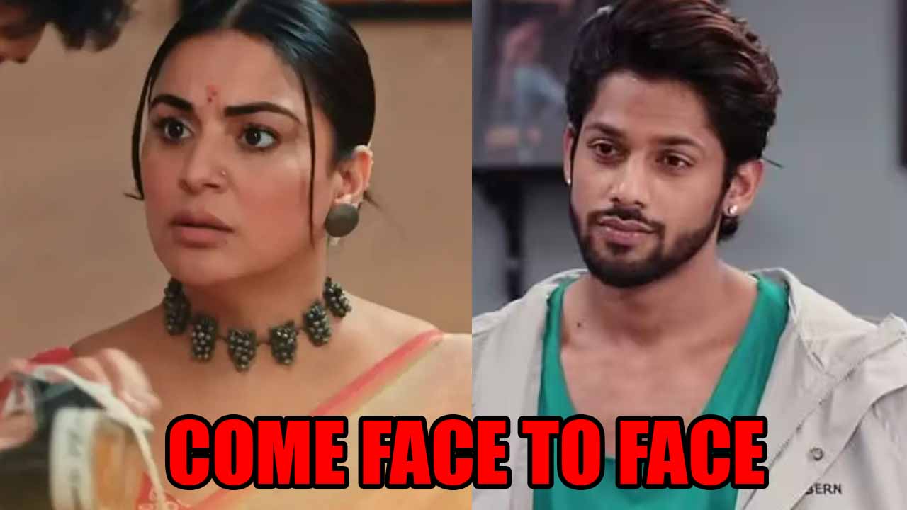 कुंडली भाग्य: प्रीता और शौर्य का हुआ आमना सामना