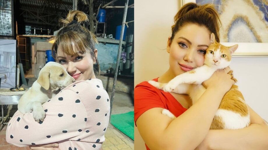 अपने पालतू पशुओं से बेहद प्यार करती है मुनमुन दत्ता उर्फ बबीता जी