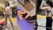 शनाया कपूर के वर्कआउट वीडियो ने इंटरनेट पर मचाई हुड़दंग, देखें वीडियो