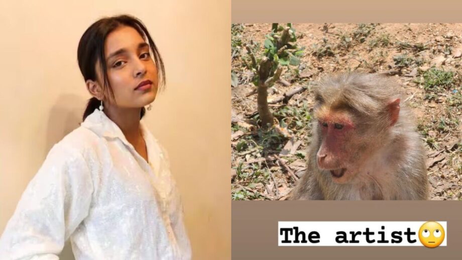 बंदर की शिकार हुई सुम्बुल तौकीर खान, अभिनेत्री ने स्वयं दी जानकारी