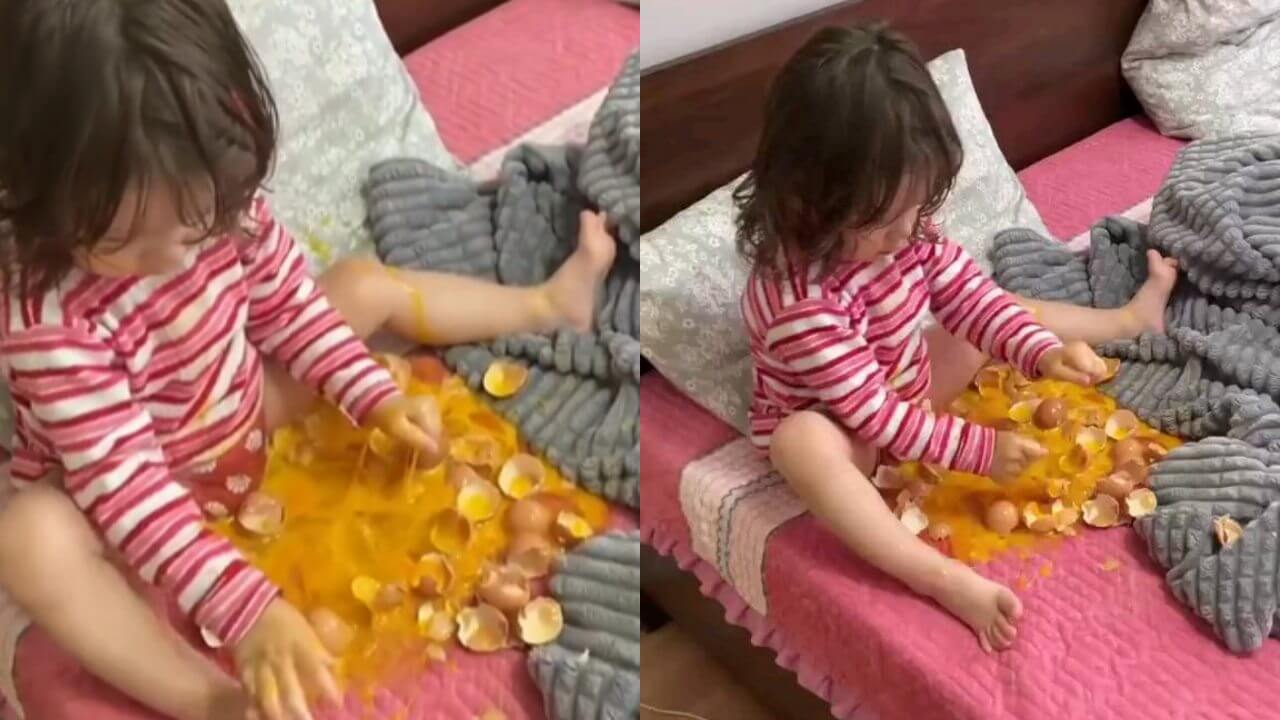 Video of a girl playing on the bed with a raw egg went viral 9245