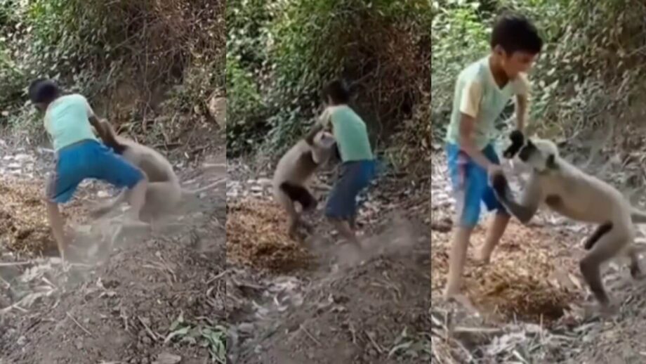 एक बंदर और बच्चे की बीच को हाथापाई का वीडियो हुआ वायरल
