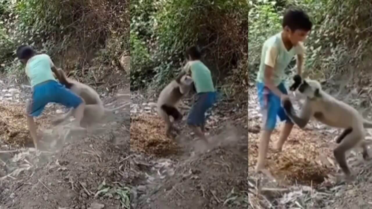 Video of a scuffle between a monkey and a child went viral 7868