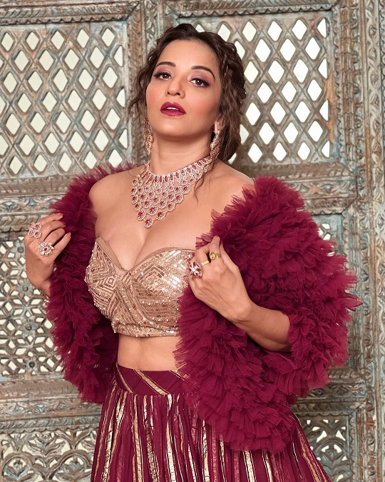 Bhojpuri Queen Monalisa's necklace looted the peace of the fans 12258