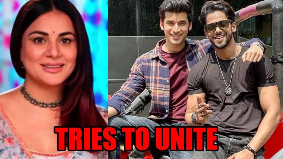 Kundali Bhagya: राजवीर और शौर्य को मिलाने की कोशिश में जुटीं प्रीता