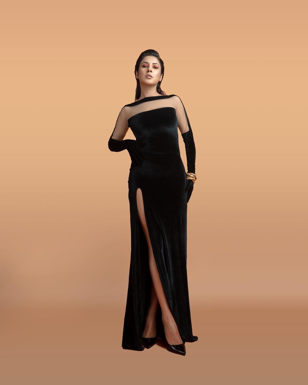 Shehnaaz Gill rocked the black outfit, see proof 9881