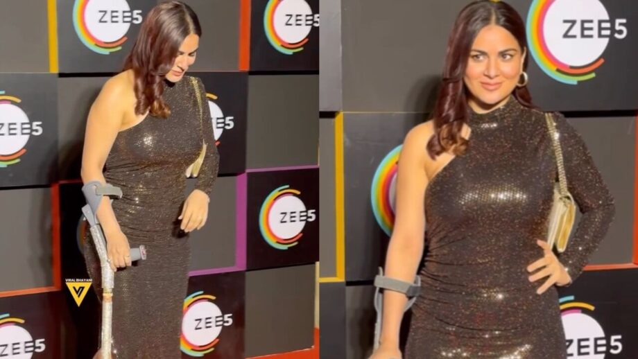 बैसाखी के सहारे फंक्शन में शामिल हुईं कुंडली भाग्य फेम श्रद्धा आर्या बैसाखी के सहारे फंक्शन में शामिल हुईं कुंडली भाग्य फेम श्रद्धा आर्या