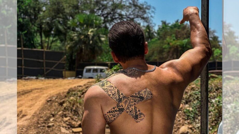 टाइगर जख्मी हैं: टाइगर 3 के सेट पर घायल हुए भाईजान, सलमान खान ने दी जानकारी