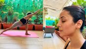 शहनाज गिल के योग आसन ने किया फैंस को प्रभावित