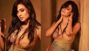 Shweta Tiwari ने बोल्डनेस की सारी हदें की पार, भीगा बदन देख यूजर्स का मन डोला