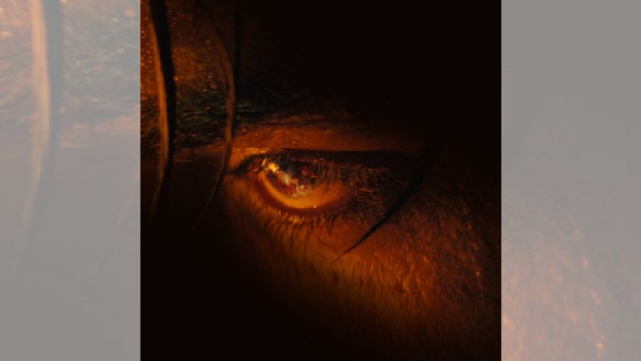 ’जवान’ से सामने आई नए किरदार की झलक, पहचाने कौन है वो?