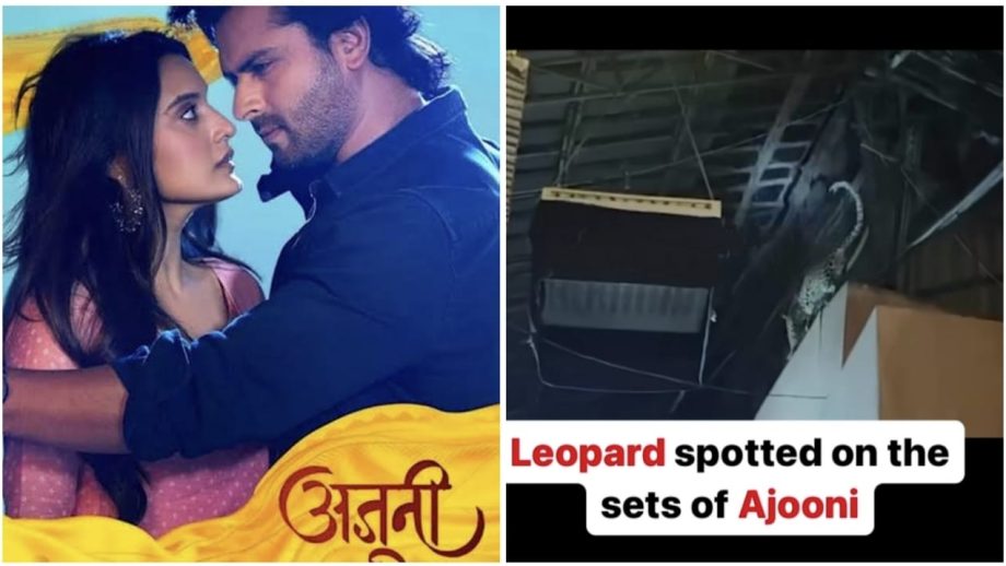 शोएब इब्राहिम के ‘अजूनी’ के सेट पर तेंदुए ने किया हमला, 200 लोगों के बीच कुत्ते को बनाया शिकार