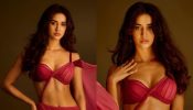 Disha Patani पर चढ़ा बोल्डनेस का बुखार, फैंस का किया शिकार