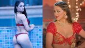 'लाला‌ घाघरा' फेम नम्रता मल्ला ने बिकनी द्वारा इंटरनेट लगाई आग, फैंस हुए पानी-पानी