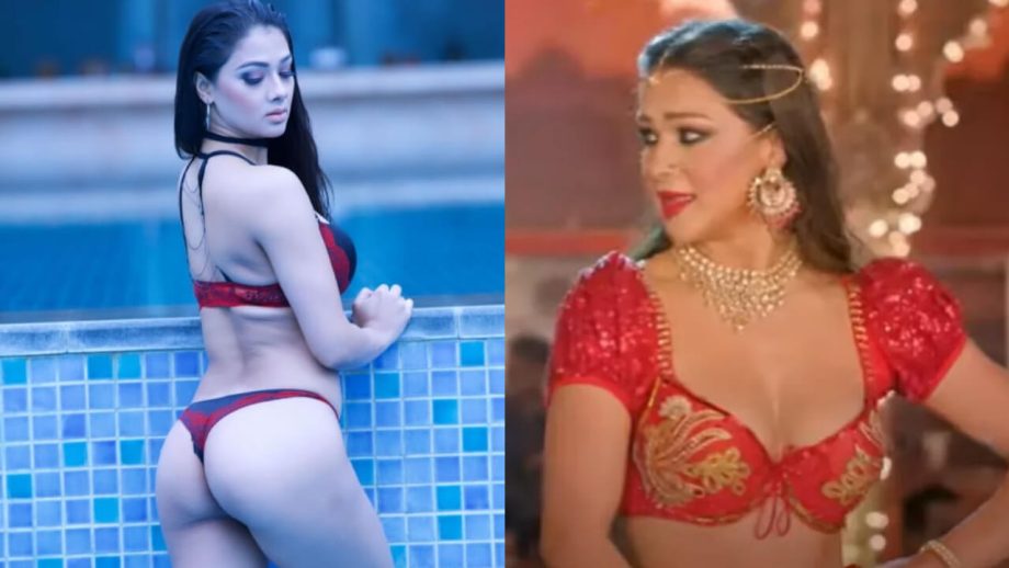 ‘लाला‌ घाघरा’ फेम नम्रता मल्ला ने बिकनी द्वारा इंटरनेट लगाई आग, फैंस हुए पानी-पानी