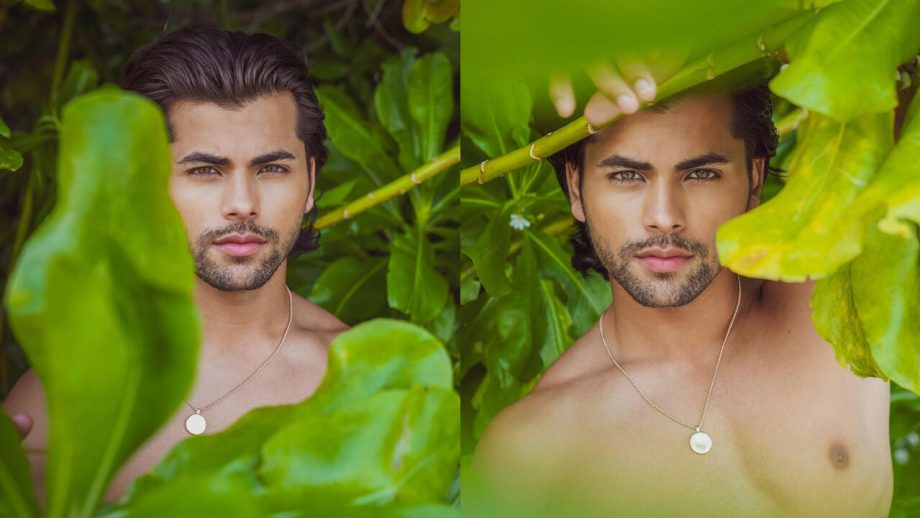 जंगल बॉय बने सिद्धार्थ निगम, देखें सबूत जंगल बॉय बने सिद्धार्थ निगम, देखें सबूत