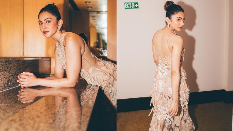 Rakul Preet Singh ने ट्रांसपेरेंट गाउन लुक में बिखेरा हुस्न का जादू, देखें ग्लैमरस लुक