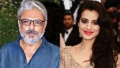 गदर की सफलता के बाद अमीषा पटेल ने संजय लीला भंसाली की 'रिटायरमेंट' सलाह पर किया विचार, जाने पुरी हकीकत