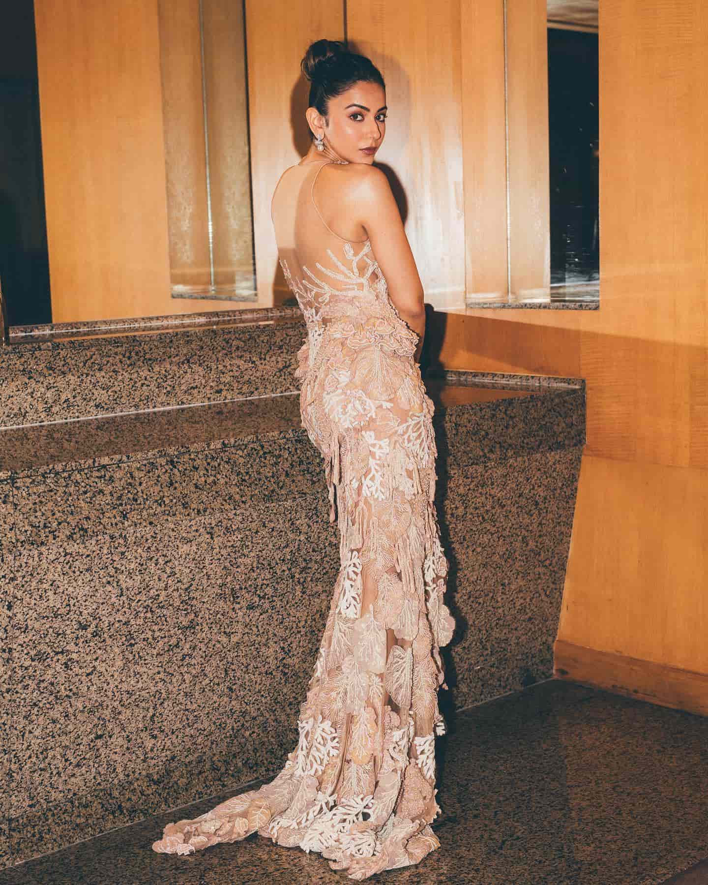 Rakul Preet Singh ने ट्रांसपेरेंट गाउन लुक में बिखेरा हुस्न का जादू, देखें ग्लैमरस लुक 25785
